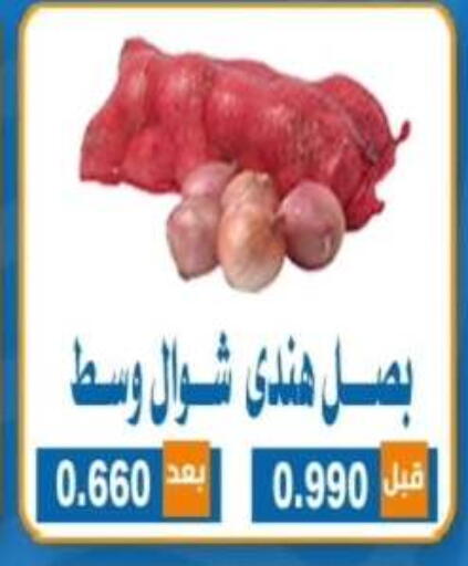 بصل available at جمعية ضاحية الشهداء التعاونية in الكويت - محافظة الأحمدي