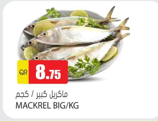 available at جراند هايبرماركت in قطر - الوكرة