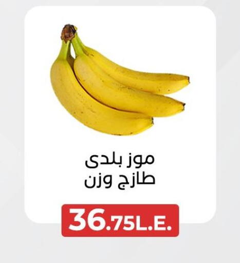 فاكهة طازجة in عرفة ماركت, Egypt Offers - Egypt موز available at عرفة ماركت in Egypt - القاهرة