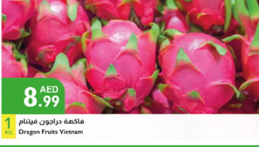 فاكهة التنين from Vietnam available at إسطنبول سوبرماركت in الإمارات العربية المتحدة , الامارات - رَأْس ٱلْخَيْمَة