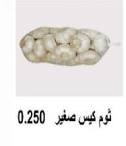 ثوم available at جمعية أبو حليفة التعاونية in الكويت - محافظة الأحمدي