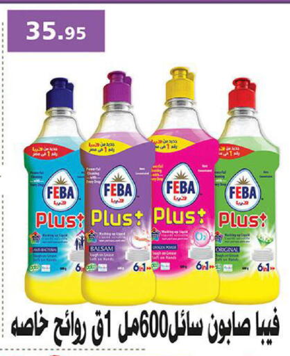available at الرايه  ماركت in Egypt - القاهرة