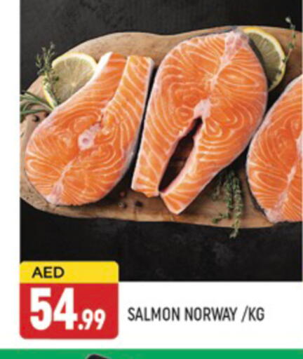 available at AL MADINA (Dubai) in UAE - Dubai