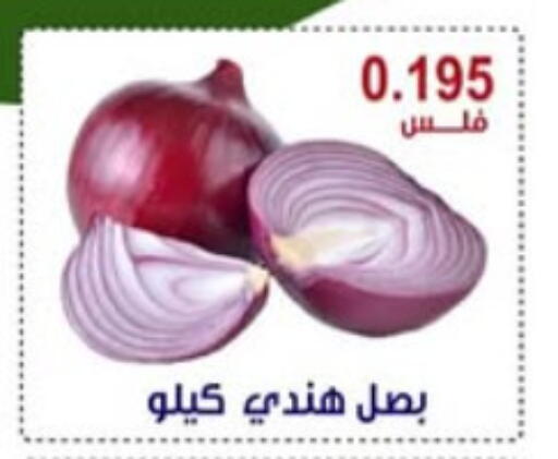بصل available at جمعية العقيلة التعاونية in الكويت - محافظة الأحمدي
