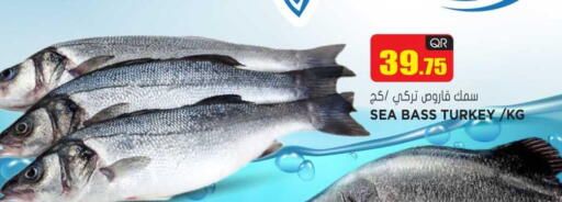 available at Grand Hypermarket in Qatar - Al Daayen