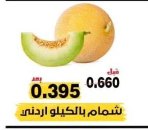 Sweet melon available at Al Nuzha Co-op  in Kuwait - Kuwait City