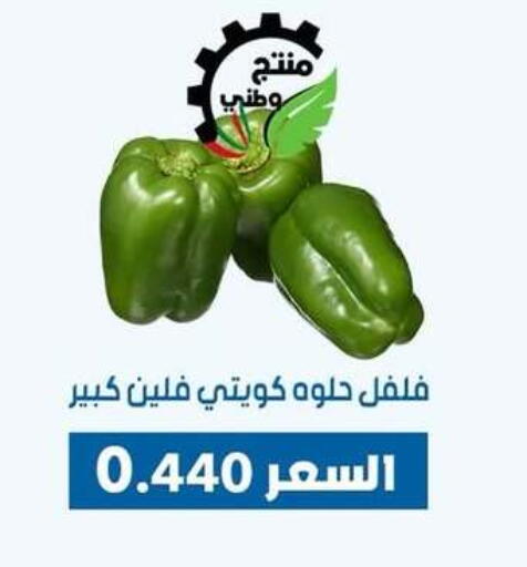 الخضروات الطازجة in جمعية ضاحية عبدالله السالم والمنصورية التعاونية, الكويت Offers - الكويت فلفل / فليفلة available at جمعية ضاحية عبدالله السالم والمنصورية التعاونية in الكويت - محافظة الجهراء