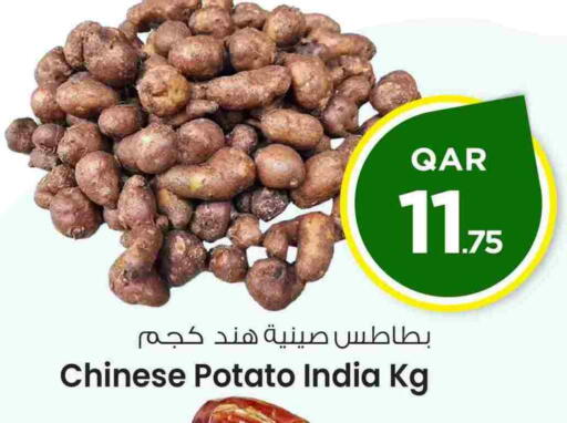 بطاطا from China India available at مارك & سيف in قطر - أم صلال