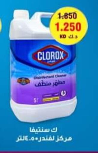 غسل الملابس in جمعية حطين التعاونية, الكويت Offers - الكويت كلوركس available at جمعية حطين التعاونية in الكويت - مدينة الكويت
