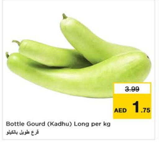 قرع available at نستو هايبرماركت in الإمارات العربية المتحدة , الامارات - دبي