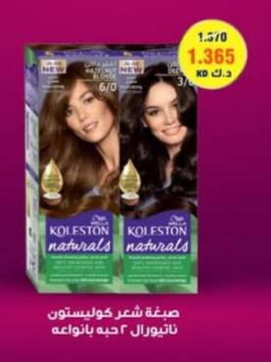 العناية بالشعر in جمعية حطين التعاونية, الكويت Offers - الكويت available at جمعية حطين التعاونية in الكويت - مدينة الكويت