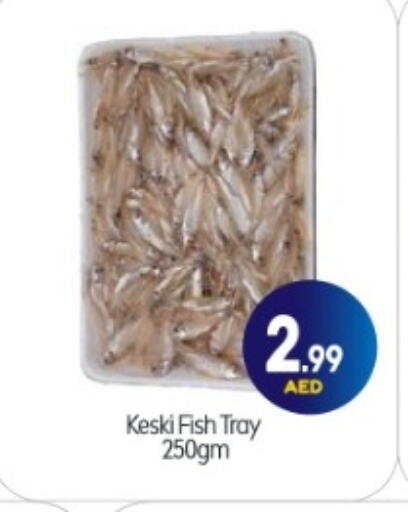 available at BIGmart in UAE - Abu Dhabi