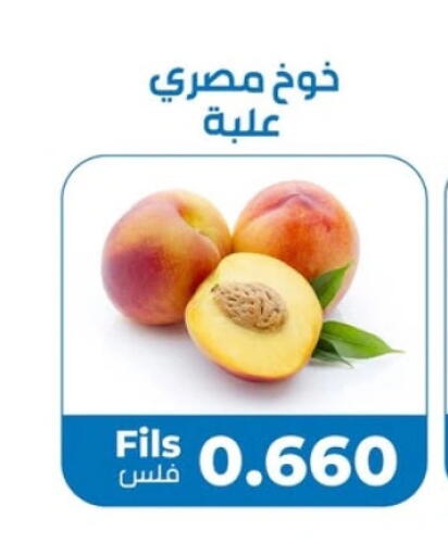 برقوق available at جمعية خيطان التعاونية in الكويت - مدينة الكويت