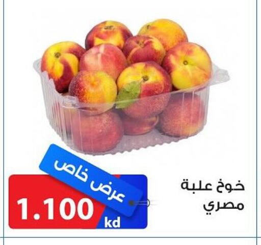 خوخ available at جمعية الشامية والشويخ التعاونية in الكويت - مدينة الكويت