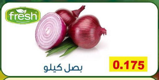 بصل available at جمعية ضاحية فهد الأحمد التعاونية in الكويت - محافظة الأحمدي