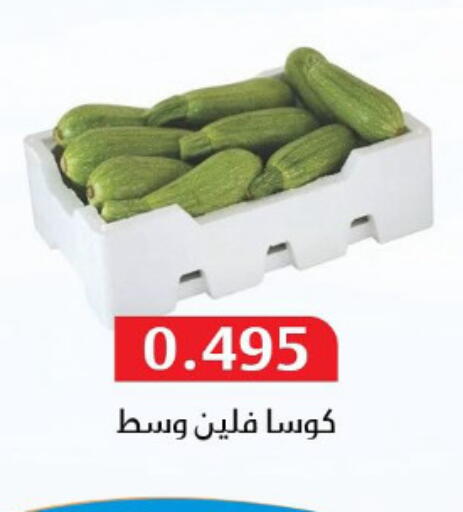 Zucchini available at Al Masayel co-op  in Kuwait - Jahra Governorate