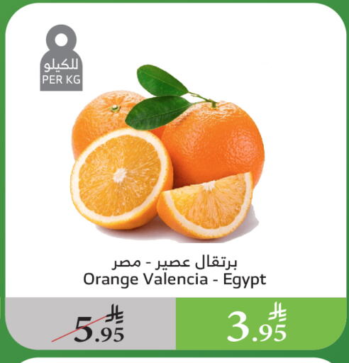 فاكهة طازجة in الراية, المملكة العربية السعودية Offers - المملكة العربية السعودية برتقال from Egypt available at الراية in مملكة العربية السعودية, السعودية, سعودية - الطائف