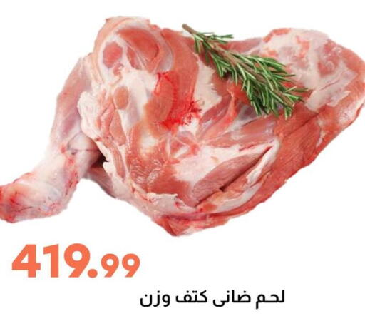 Meat - Fresh & Chilled in Ghallab Market, Egypt Offers - Egypt available at Ghallab Market in Egypt - Cairo