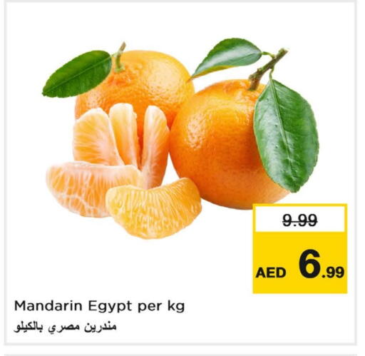 برتقال from Egypt available at لاست تشانس in الإمارات العربية المتحدة , الامارات - ٱلْفُجَيْرَة‎