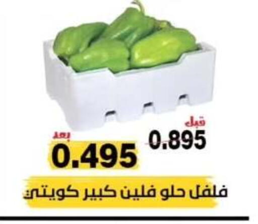 Chilli / Capsicum available at Al Nuzha Co-op  in Kuwait - Kuwait City