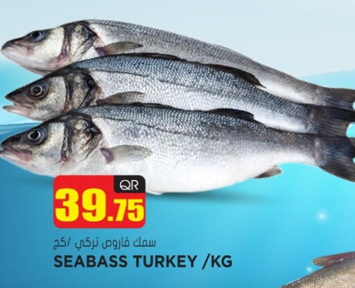 available at جراند هايبرماركت in قطر - الوكرة