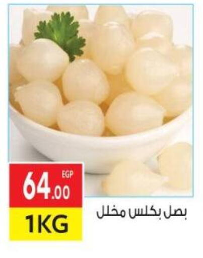 available at El Mahallawy Market  in Egypt - Cairo