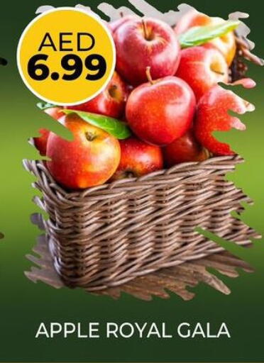 Apples available at Daylife Hypermarket LLC in UAE - Dubai