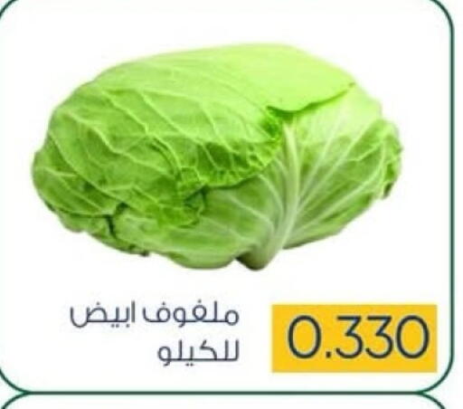 Cabbage available at Sabah Al Salem Co op in Kuwait - Kuwait City