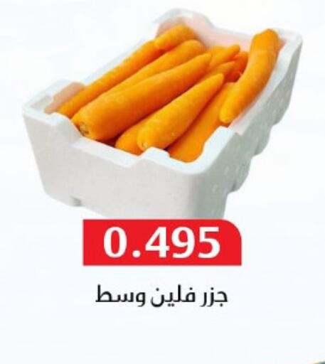 جزر available at جمعية المسايل التعاونية in الكويت - محافظة الجهراء