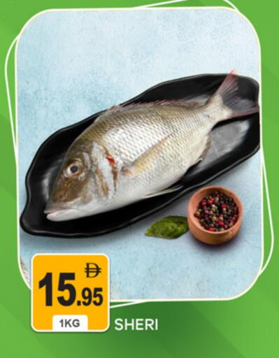 available at سوق طلال in الإمارات العربية المتحدة , الامارات - دبي