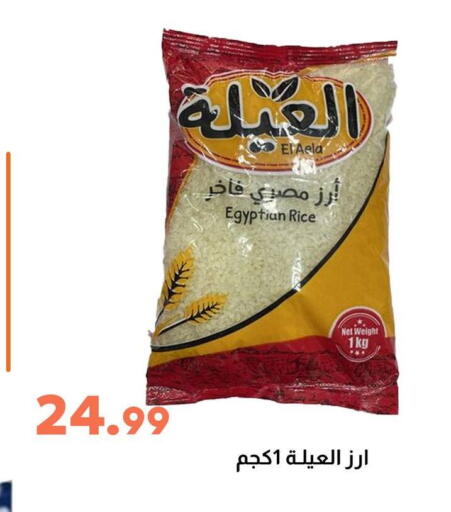 available at Ghallab Market in Egypt - Cairo