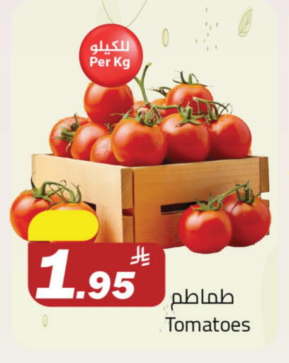 طماطم available at مخازن هايبرماركت in مملكة العربية السعودية, السعودية, سعودية - بريدة