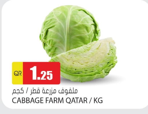 Cabbage available at جراند هايبرماركت in قطر - الوكرة