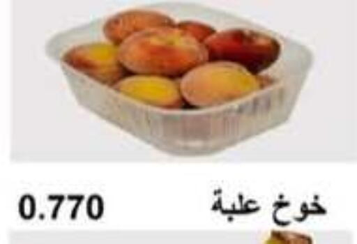 برقوق available at جمعية أبو حليفة التعاونية in الكويت - محافظة الأحمدي