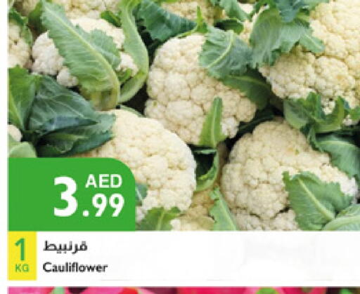 Cauliflower available at إسطنبول سوبرماركت in الإمارات العربية المتحدة , الامارات - دبي