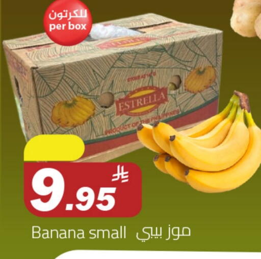 موز available at مخازن هايبرماركت in مملكة العربية السعودية, السعودية, سعودية - بريدة