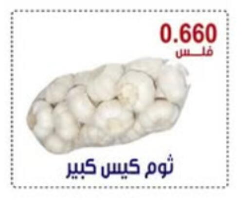 Garlic available at Egaila Cooperative Society in Kuwait - Ahmadi Governorate