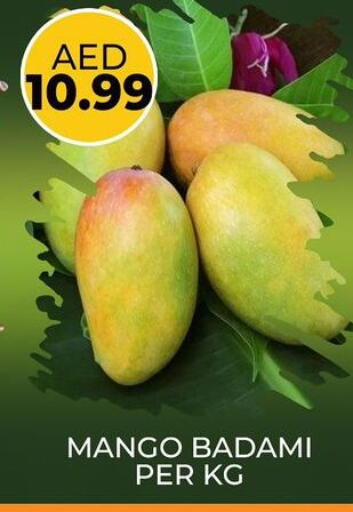 Mangoes available at Daylife Hypermarket LLC in UAE - Dubai