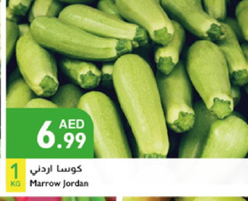 كوسا from Jordan available at إسطنبول سوبرماركت in الإمارات العربية المتحدة , الامارات - دبي