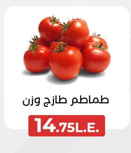 طماطم available at عرفة ماركت in Egypt - القاهرة