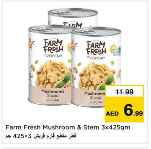 أغذية معلبة ومغلفة in نستو هايبرماركت, UAE Offers - الإمارات العربية المتحدة Mushroom available at نستو هايبرماركت in الإمارات العربية المتحدة , الامارات - ٱلْفُجَيْرَة