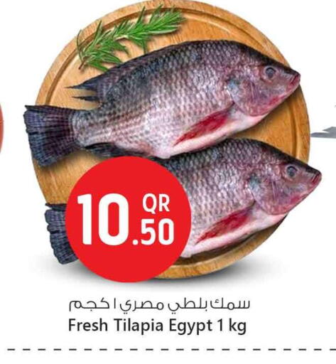 available at سفاري هايبر ماركت in قطر - الدوحة