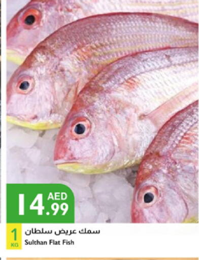 available at Istanbul Supermarket in UAE - Dubai