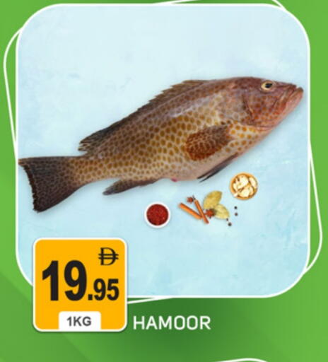 available at سوق طلال in الإمارات العربية المتحدة , الامارات - دبي