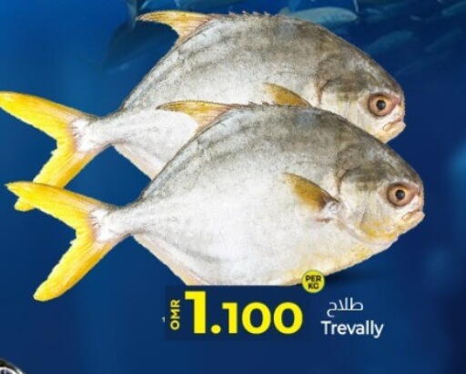 available at KM Trading  in Oman - Muscat