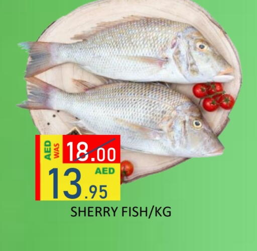 available at ROYAL GULF HYPERMARKET LLC in UAE - Abu Dhabi