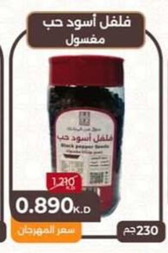 Salts, Spices & Paste in Hateen Co-Op Society, Kuwait Offers - Kuwait Spices available at Hateen Co-Op Society in Kuwait - Kuwait City