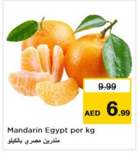برتقال from Egypt available at نستو هايبرماركت in الإمارات العربية المتحدة , الامارات - أبو ظبي
