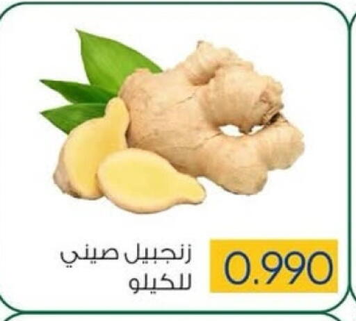 زنجبيل available at جمعية ضاحية صباح السالم التعاونية in الكويت - مدينة الكويت