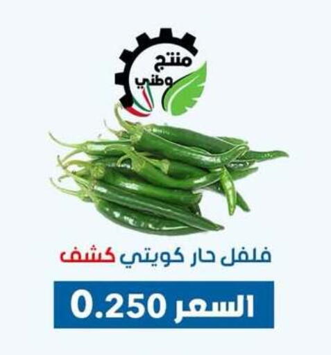 الخضروات الطازجة in جمعية ضاحية عبدالله السالم والمنصورية التعاونية, الكويت Offers - الكويت فلفل / فليفلة available at جمعية ضاحية عبدالله السالم والمنصورية التعاونية in الكويت - محافظة الجهراء